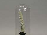 a small statue inside of a glass dome on a table