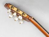 an overhead view of a guitar neck with buttons and strings