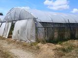 de nombreuses serres situées dans un champ par une journée ensoleillée