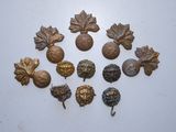 plusieurs feuilles et glands en laiton vieilli sur un fond blanc