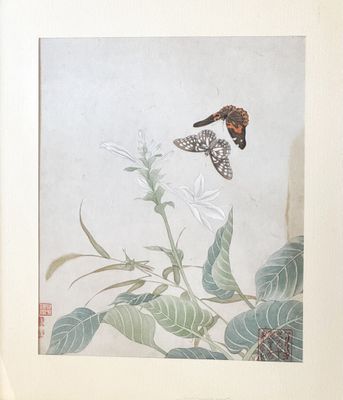 une photo d'un tableau représentant un papillon posé sur une fleur