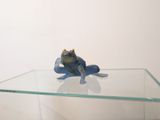 a frog sitting on a glass shelf with a crown on it ' s head