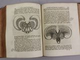 an open book with a drawing of a human skull and a diagram of a human skull