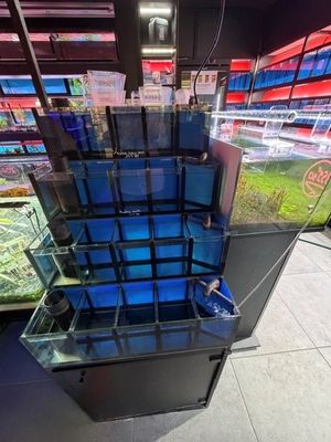 un aquarium au milieu d'un magasin