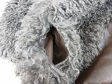a close up picture of a leather jacket with a fur collar