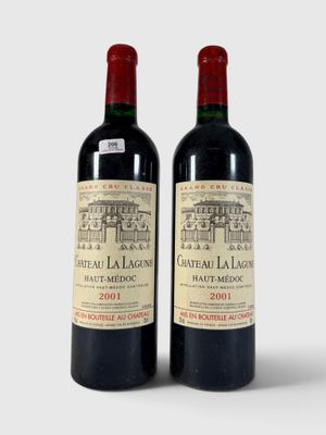 deux bouteilles de vin rouge posées l'une à côté de l'autre sur une surface blanche