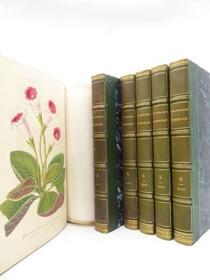 quelques livres ouverts sur une surface blanche