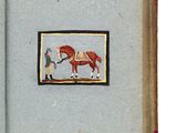 une photo d'un livre sur lequel figure l'image d'un homme et d'un cheval