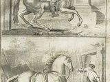 two pictures of a man riding a horse and a man riding a horse