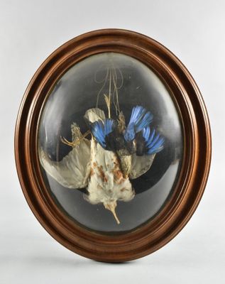 la photo d'une photo représentant un oiseau dans une boule de verre