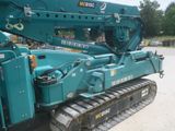 a blue crane that is sitting in the dirt