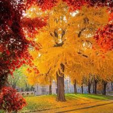 Destockage & Invendus