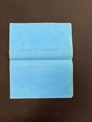 MAGITOT (Dr. E.) De la greffe animale dans ses applications …