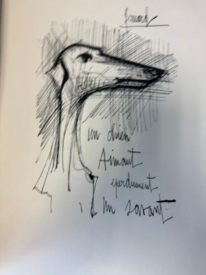 dessin d'un oiseau sur une feuille de papier comportant des inscriptions