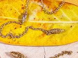 une feuille jaune à laquelle est attachée une chaîne