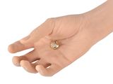 a hand that has a ring on it that is in the palm of someone