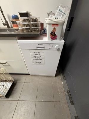 un petit lave-vaisselle blanc dans un coin de la cuisine