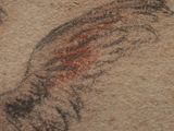 a drawing of a bird on a piece of paper