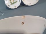 a person holding a plate with a bird on it