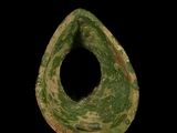 a close up of a green and brown object on a black background