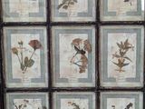a picture of a picture of a bunch of flowers in a frame