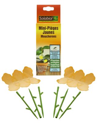 SOLABIOL - Mini-Pièges Jaunes Moucherons - Lot de 12 pièges …