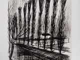 une image représentant un dessin en noir et blanc d'une rangée d'arbres
