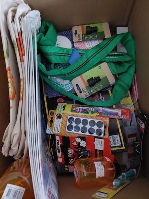 lot de 100 articles de solderie neuf