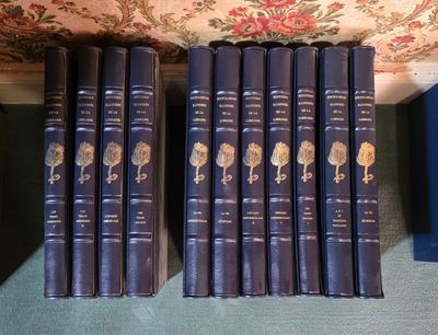 beaucoup de livres qui traînent sur une étagère
