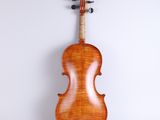 an old violin on a white background