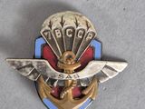 une image représentant un insigne argenté et bleu orné d'un aigle