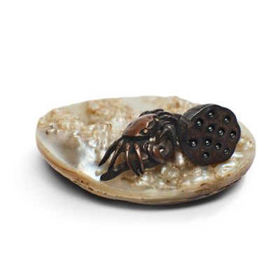 un petit coquillage orné d'un crabe, posé sur un fond blanc