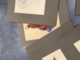 a lot of cards that are on the floor