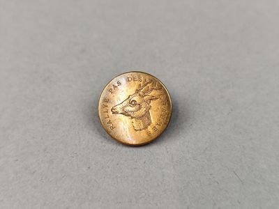 un gros plan d'une pièce d'or sur laquelle figure une tête de cerf