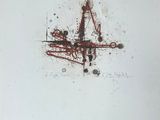 a picture of a drawing of a plane on a sheet of paper