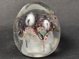 a glass ball that has a bunch of flowers inside of it