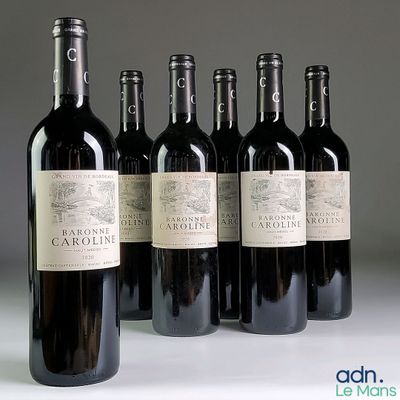 six bouteilles de vin sont alignées sur une table