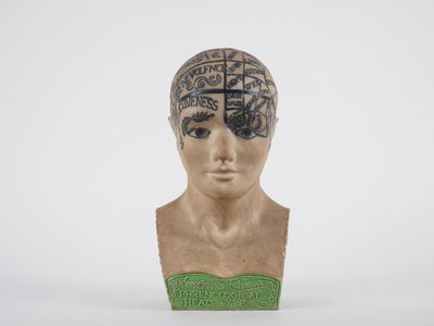 an image of a sculpture of a woman ' s head with a brain on it