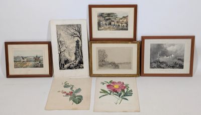 de nombreux tableaux représentant des fleurs et des arbres accrochés au mur