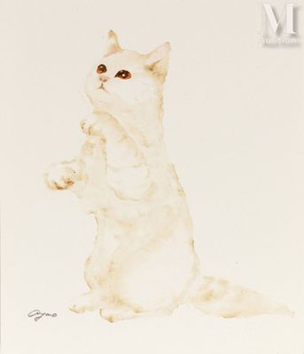 OTANI, Ayano (Né en 1988) Gatto bianco