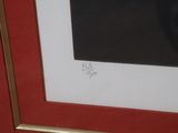a picture of a black and white picture with a red frame