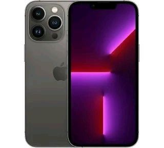 Apple iPhone 13 Pro Graphite 1024GB - Fonctionnel - État correct - 350 - Photo 1