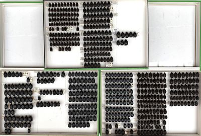 several rows of black and white buttons are arranged in a row