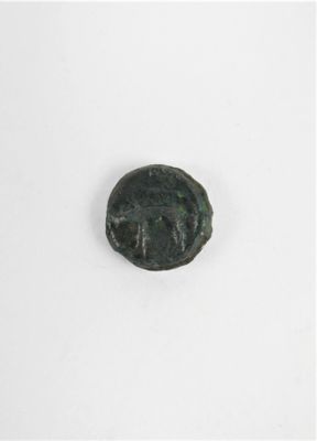 gros plan d'une pièce de monnaie sur une surface blanche