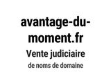 Photo 1/1 du lot