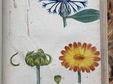 a picture of a book with a bunch of flowers on it