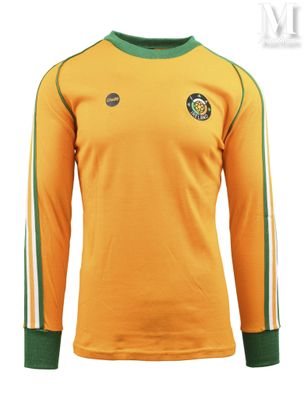 une image représentant un maillot de football jaune orné d'une bande verte et blanche