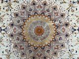 an oriental rug with a medallion design on a white background