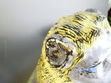 une statue représentant une banane posée à côté d'une bouteille de bière