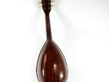 an image of a mandolin hanging on a wall with a white background